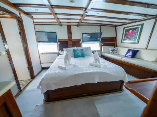 Yacht White Swan cabin