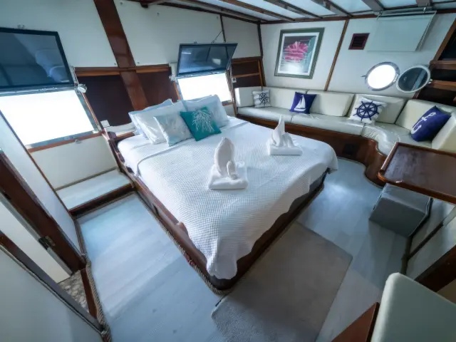 Yacht White Swan cabin